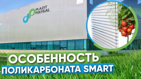 Сотовый